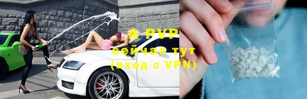 прущие крисы Инта