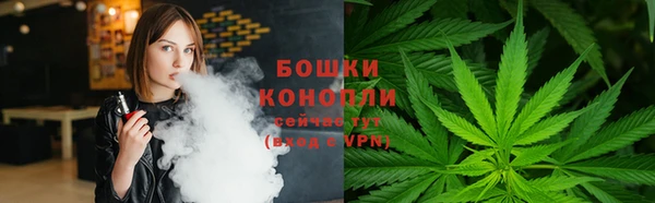 ALPHA PVP Инсар