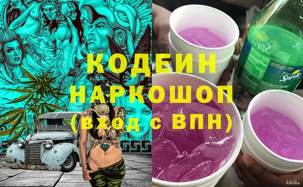 хмурый Каменногорск