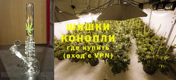 первитин Заводоуковск