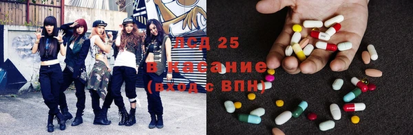 прущие крисы Инта