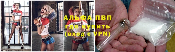 прущие крисы Инта