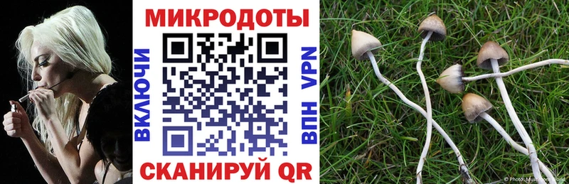 Галлюциногенные грибы GOLDEN TEACHER  Купить  Коркино 